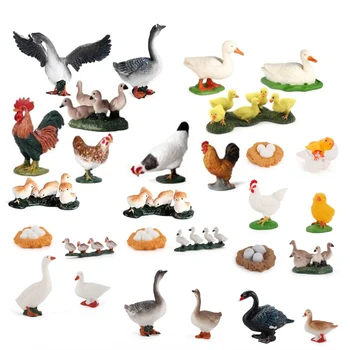 Имитация цикла роста домашней птицы, Чичена, Гуся, утки, круга жизни Домашней птицы, пластиковых моделей, фигурок, развивающих детских игрушек