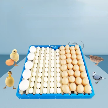 Многофункциональная автоматическая Пекено-домашняя форма для яиц Incubadora Frango Держатель для яиц для уток, гусей и птиц 70 Роликовая форма для яиц