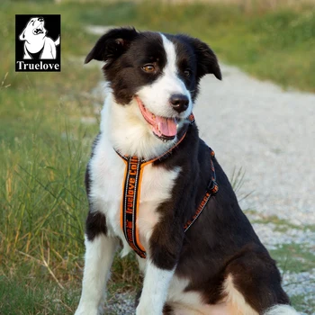 Шлейка для домашних собак Truelove, Подходящая для Крупных, Средних и мелких собак, Содержит Яркую Светоотражающую Шелковую Регулируемую шлейку stlh6371